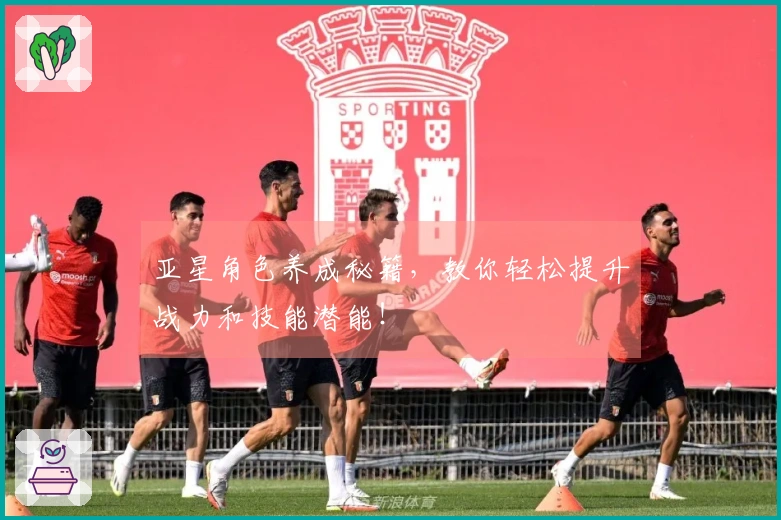 亚星角色养成秘籍，教你轻松提升战力和技能潜能！