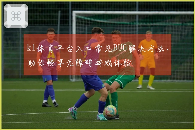 k1体育平台入口常见BUG解决方法，助你畅享无障碍游戏体验
